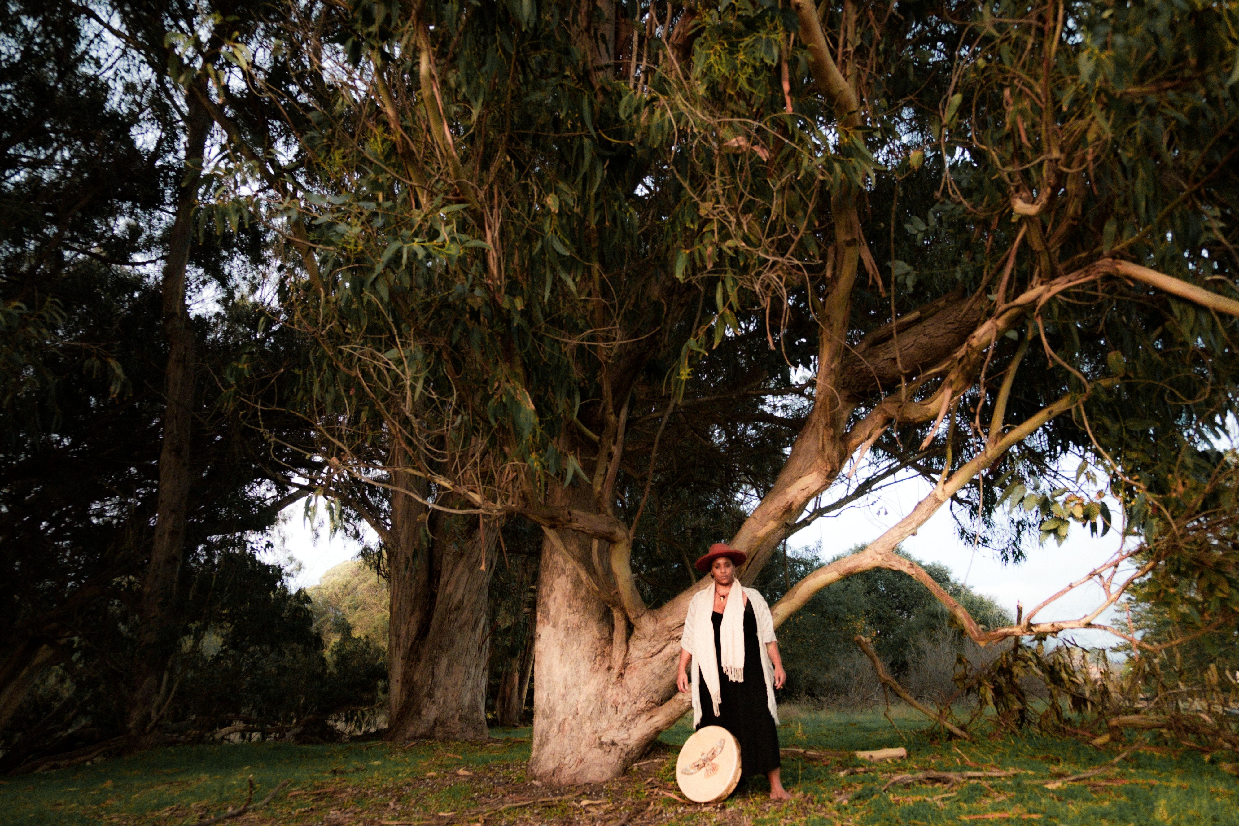 Ancestral Wellspring Collective