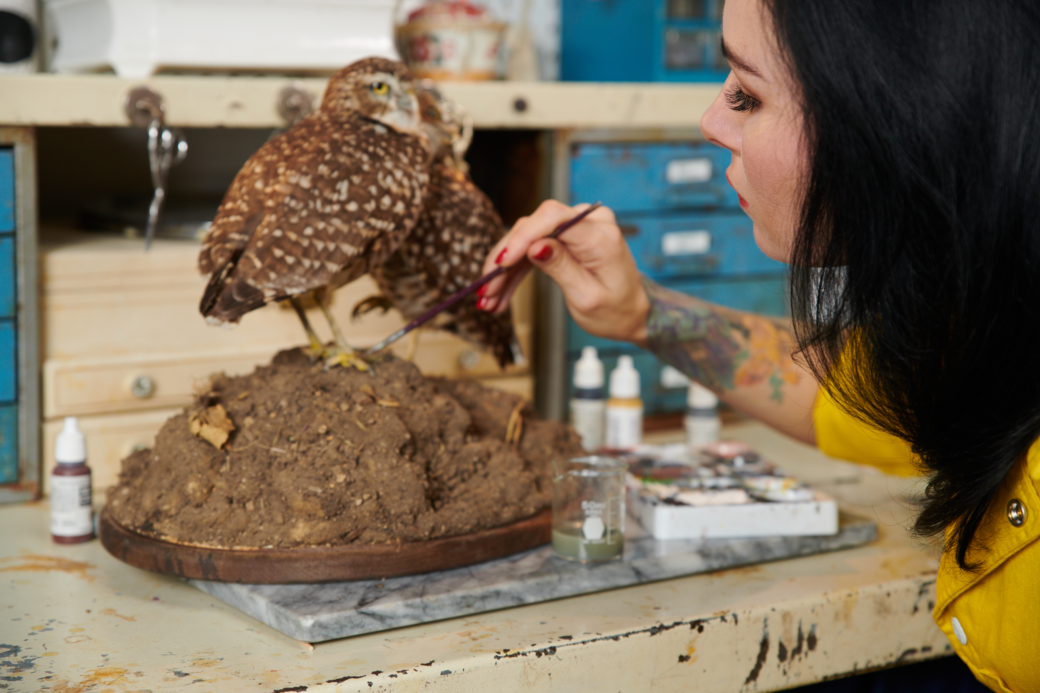The Living Dead: Taxidermy as a tool for Conservation Education
