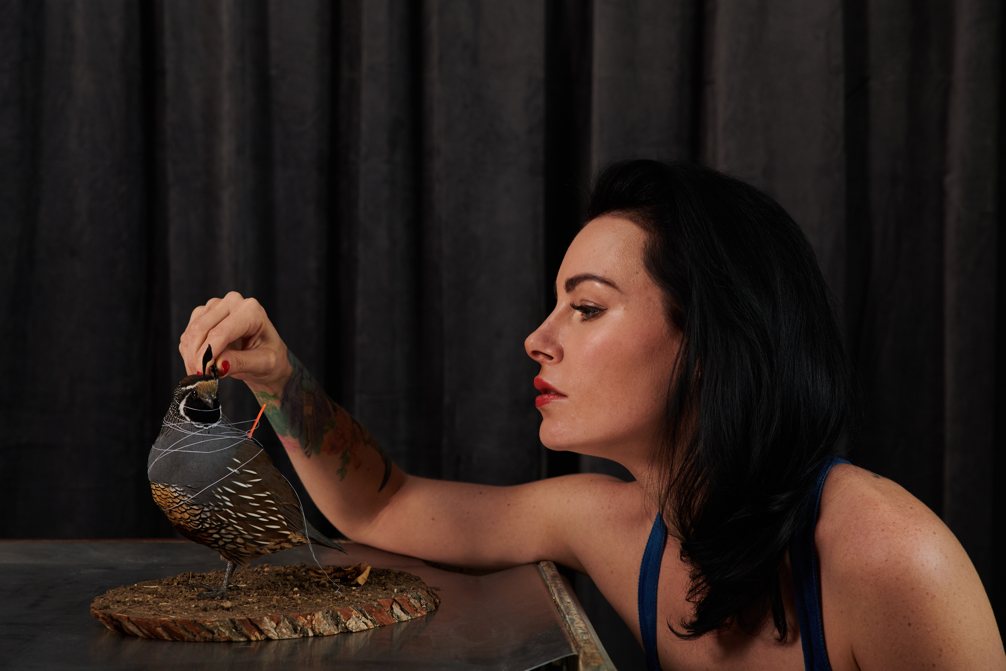 The Living Dead: Taxidermy as a tool for Conservation Education