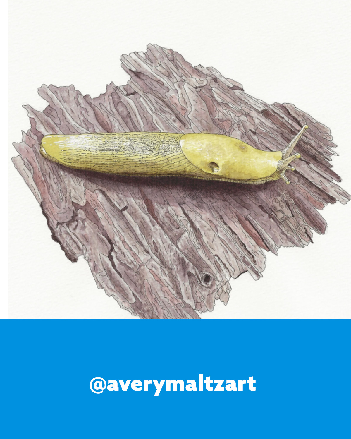 artist-2-art.jpg