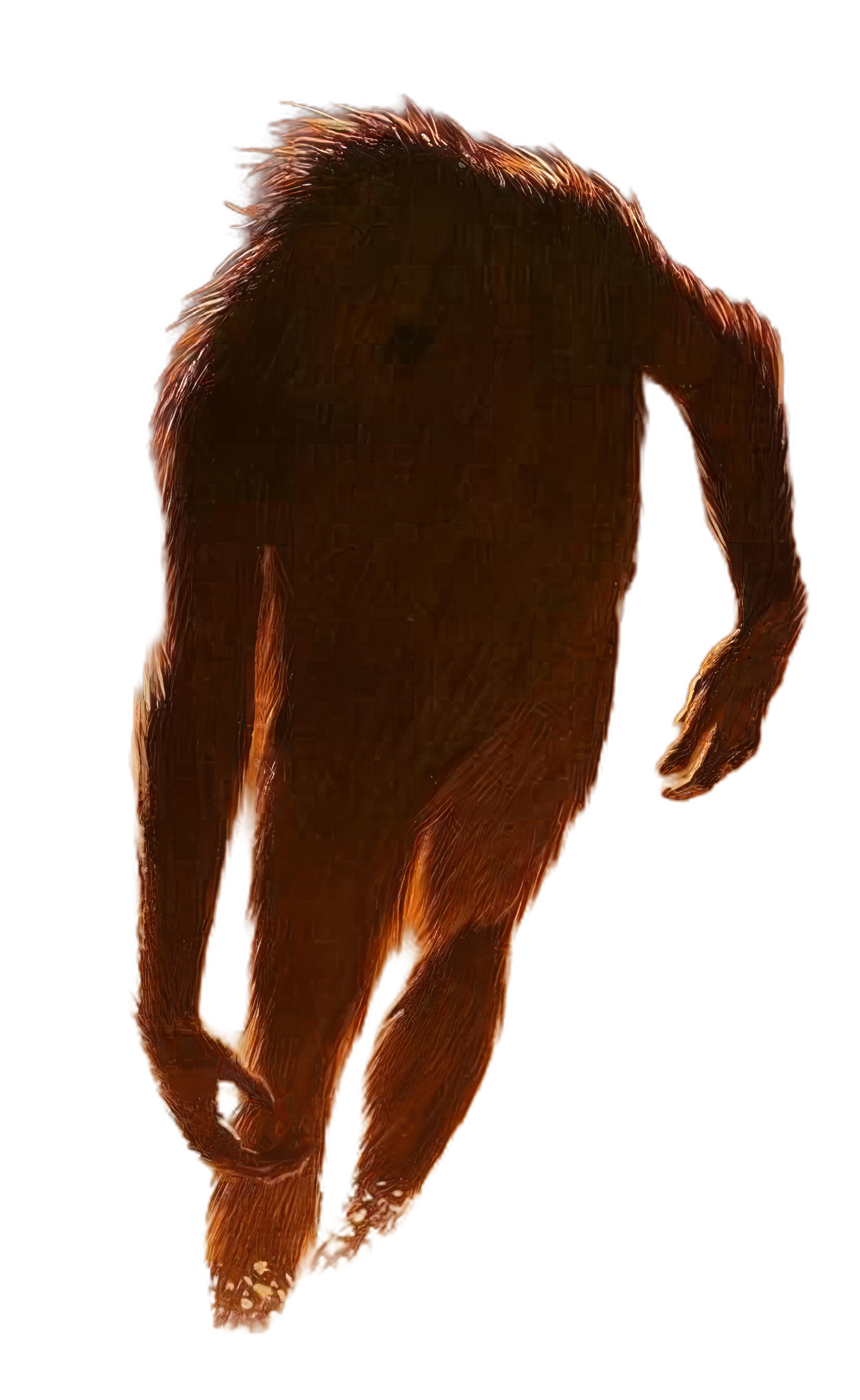 SpectreVision Radio Bigfoot Event