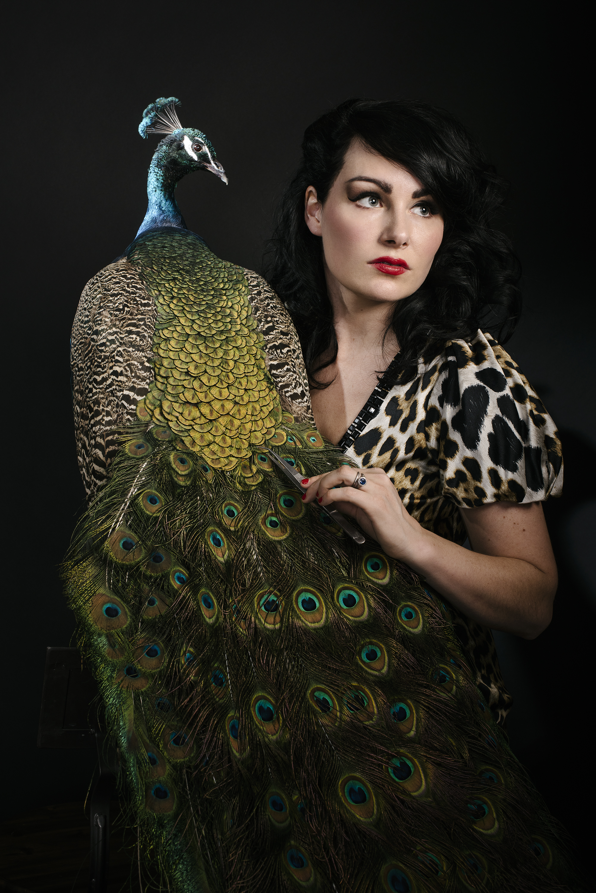 The Living Dead: Taxidermy as a tool for Conservation Education