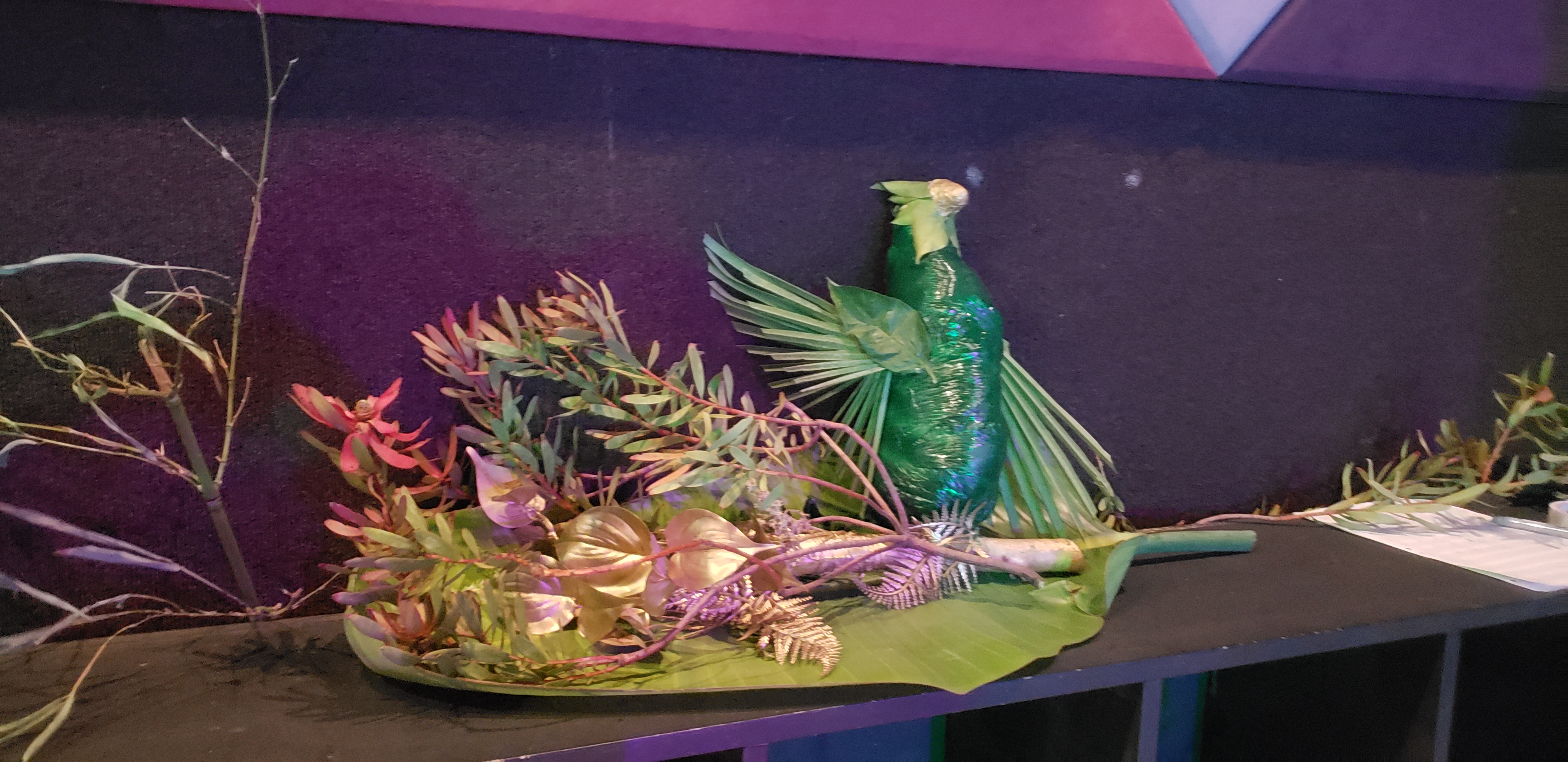 nye-gathering-rainforest.jpg