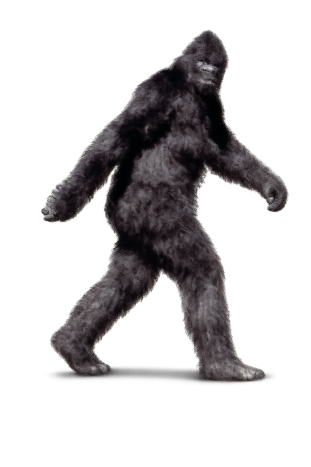 SpectreVision Radio Bigfoot Event