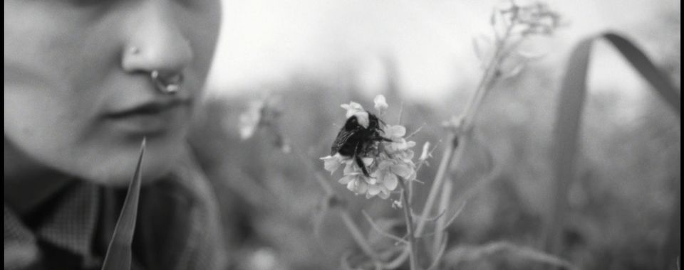 scff26-devour-still.jpg