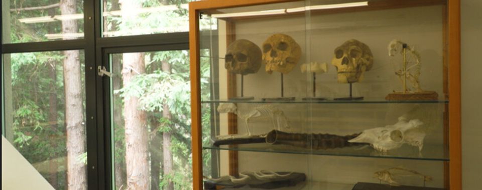 scff26-life-in-death-the-anthropology-of-death-and-dying-still.jpg