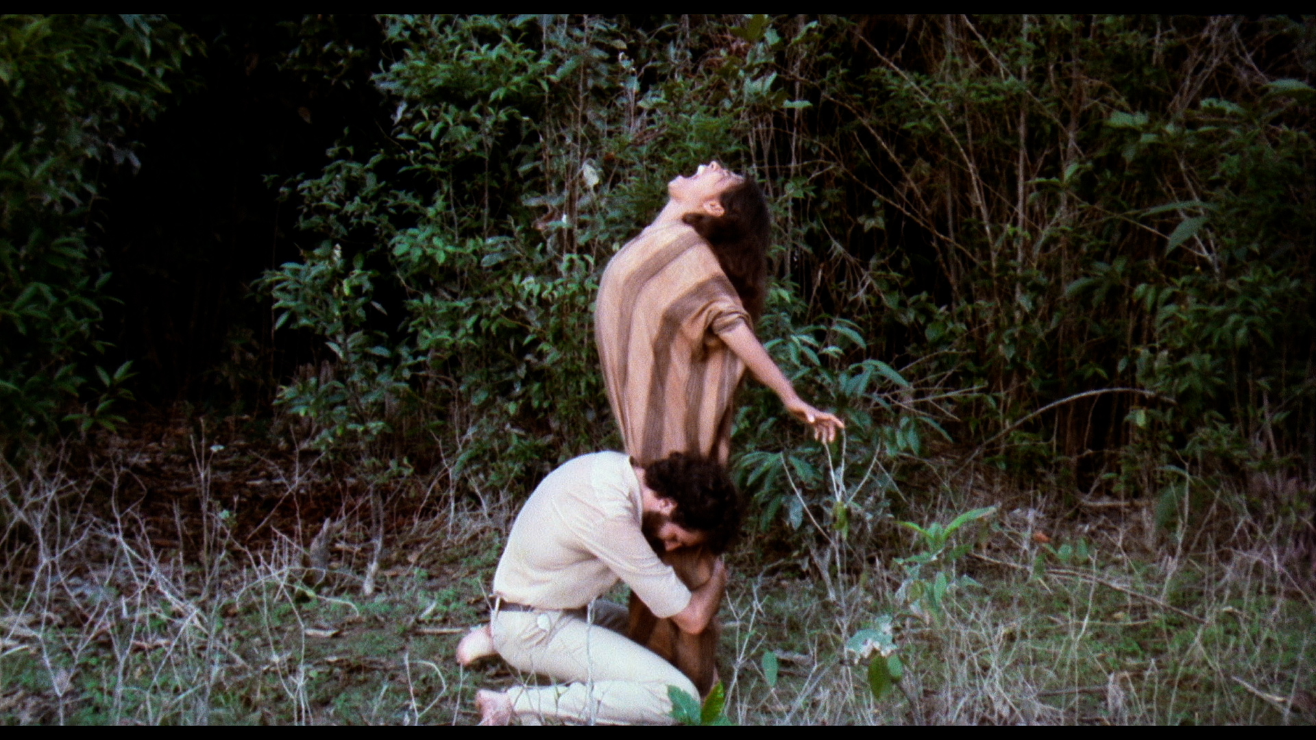 THE WIND OF AYAHUASCA (El viento del ayahuasca)