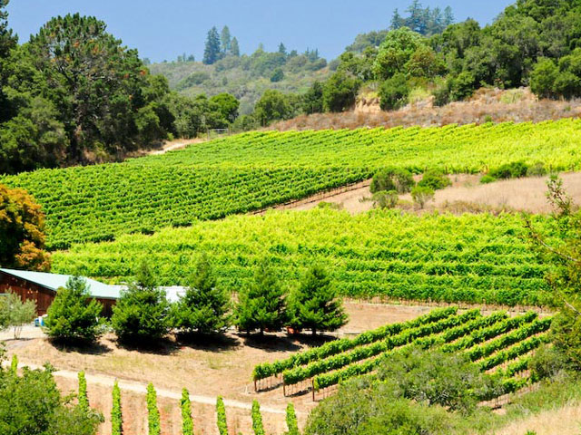 Alfaro Family Vineyards & Winery