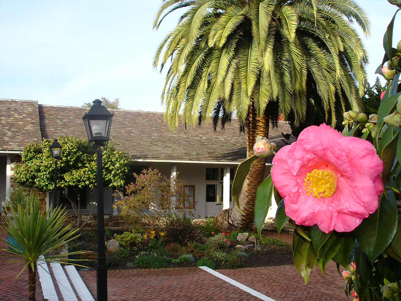 City Hall Courtyard