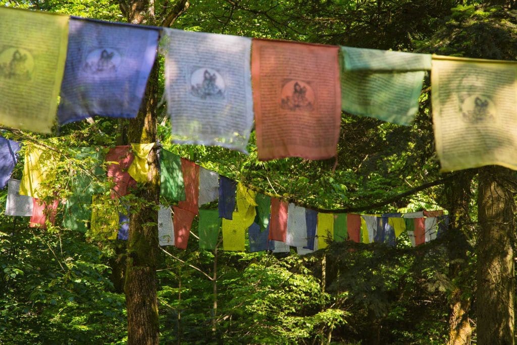 Land of Medicine Buddha