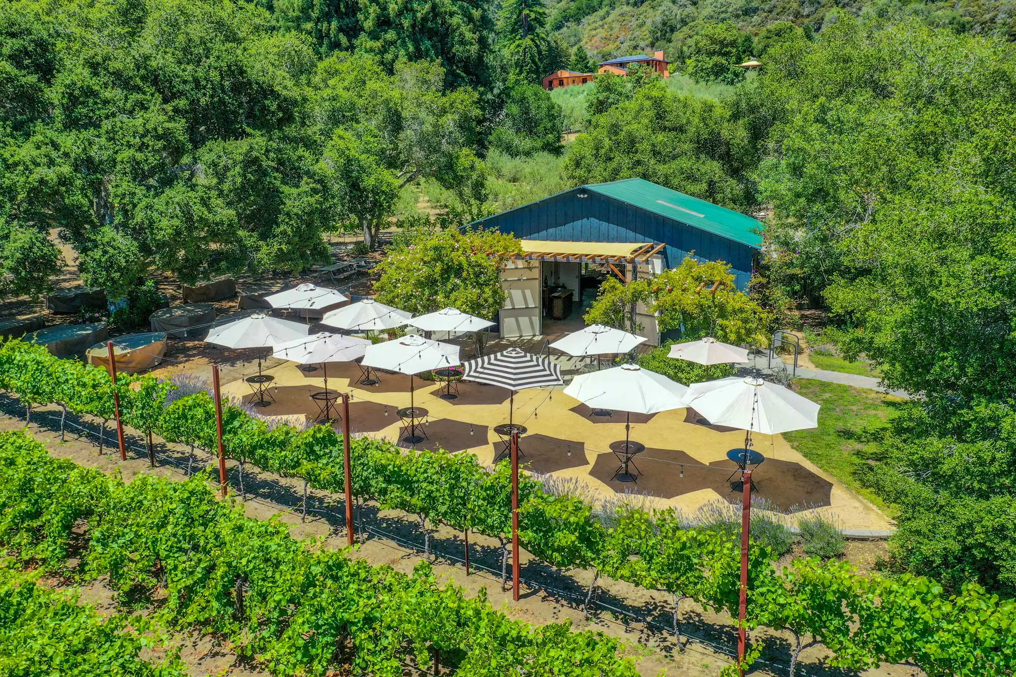 Nicholson Vineyards