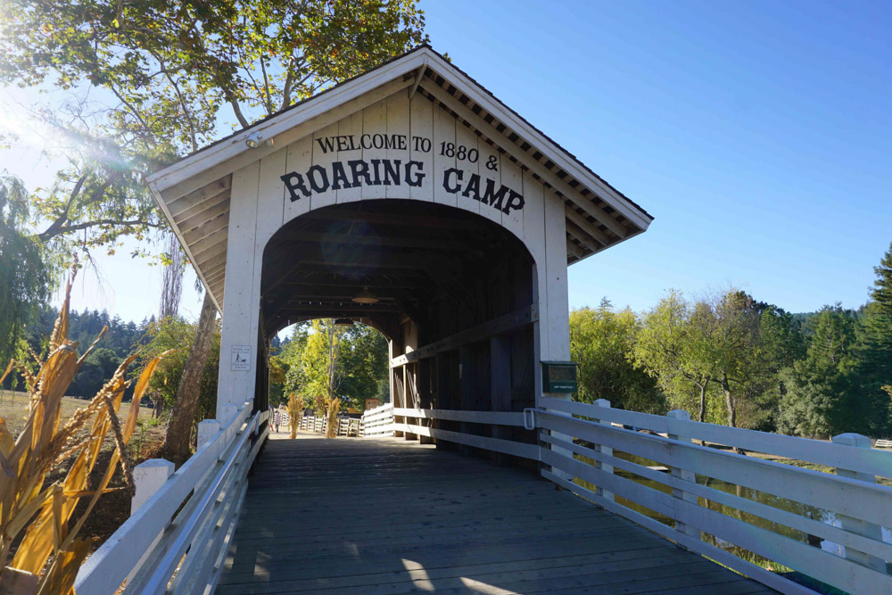 Roaring Camp Railroads