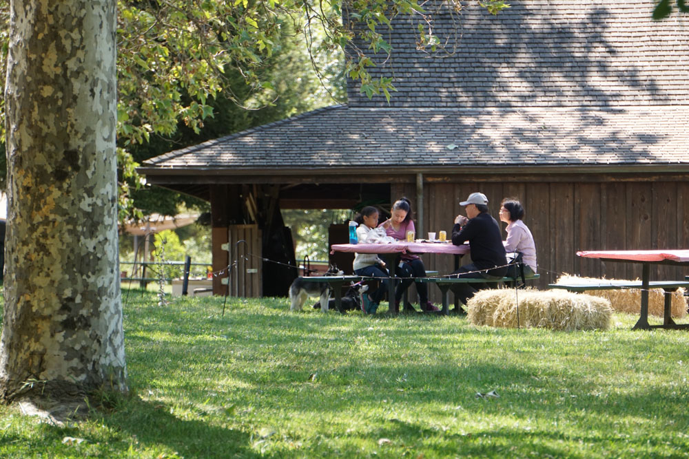 Roaring Camp Railroads